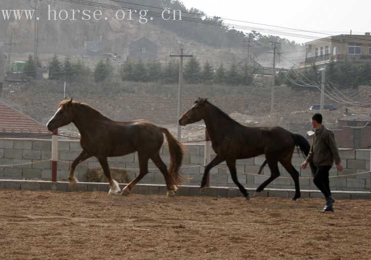 20070407青岛野骑踏青归来－最新照片更新