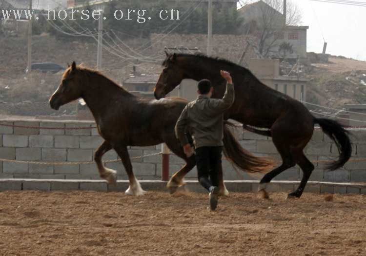 20070407青岛野骑踏青归来－最新照片更新