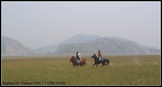 邀请马盟的马友们青岛野骑踏青------本活动由青岛风凰山庄赞助支持!