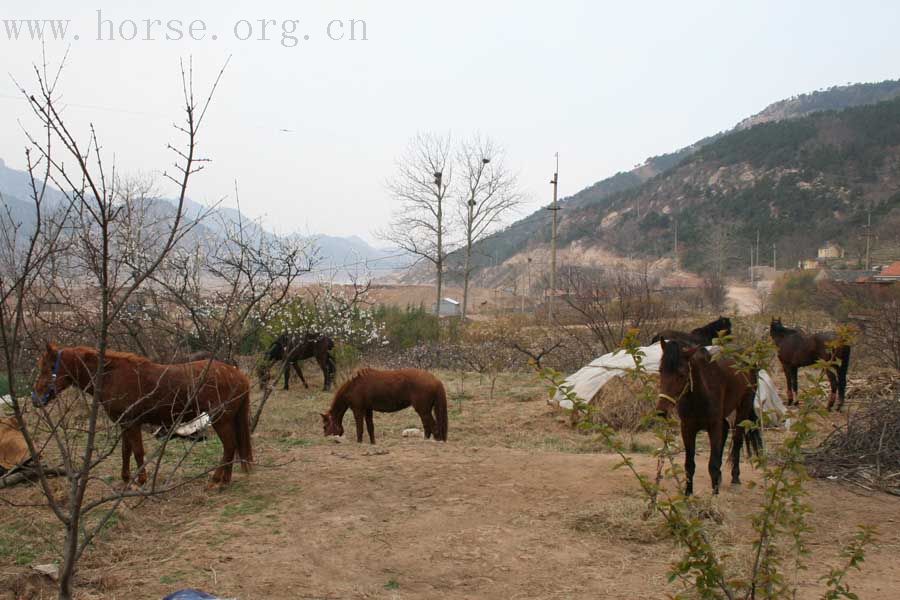 20070407青岛野骑踏青归来