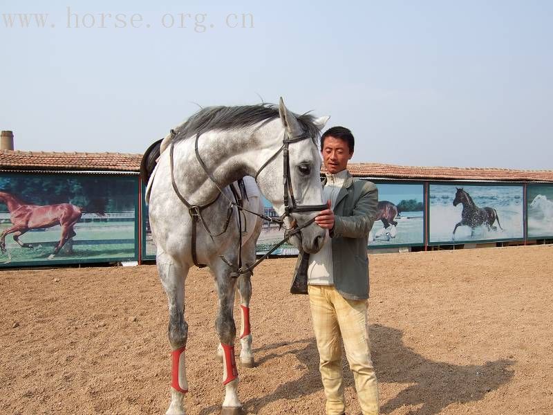 20070407青岛野骑踏青归来－－0425最新更新