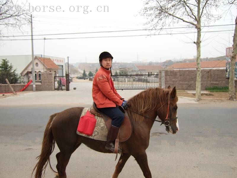 20070407青岛野骑踏青归来－－0425最新更新