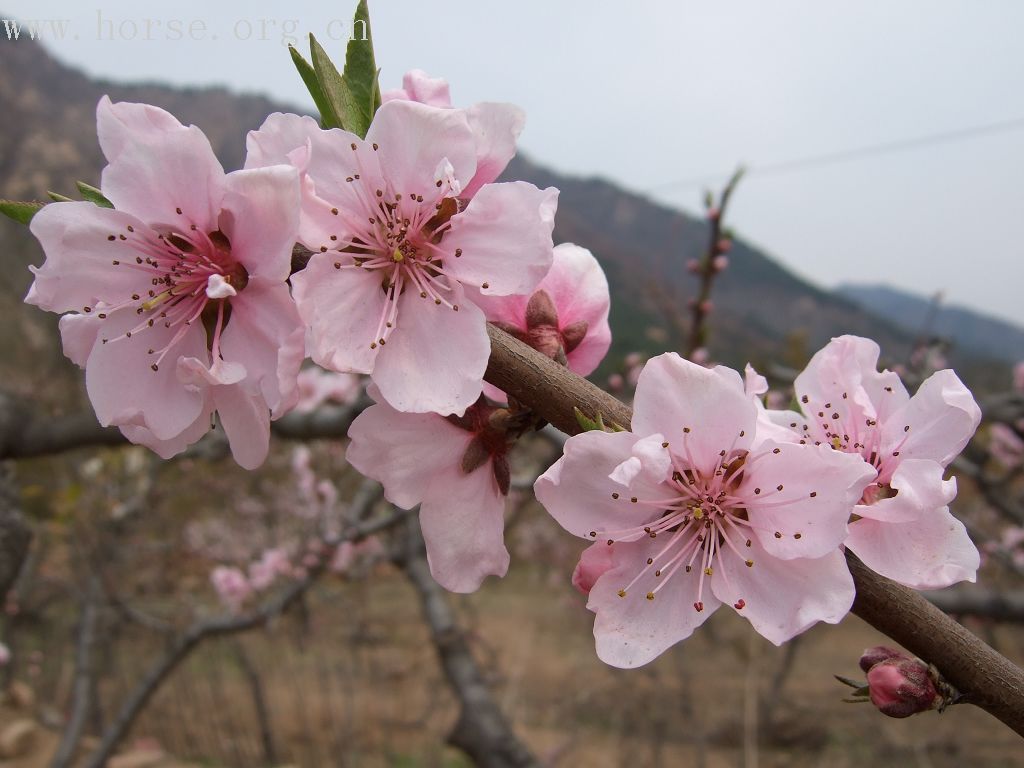 青岛野骑踏青归来