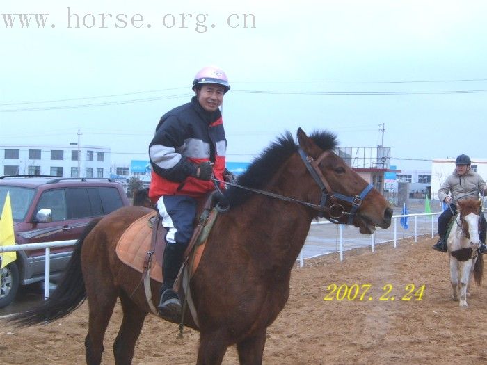 “五一”青岛登程马术俱乐部欢迎骑马、钓鱼、爬山、野炊。