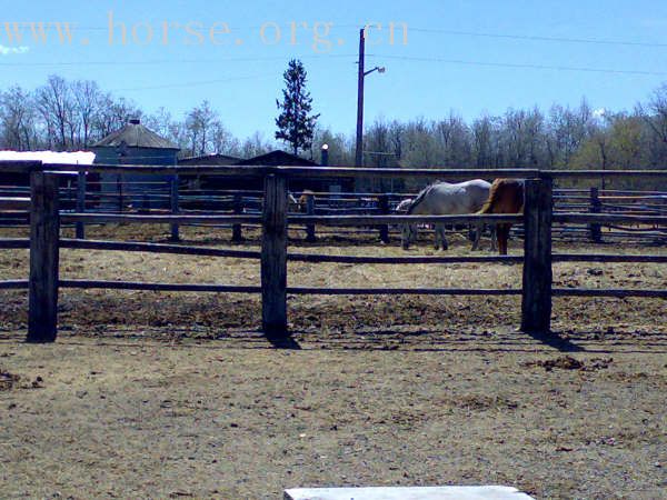 CANADA, WINNIPEG, BBQ&POLO CLUB