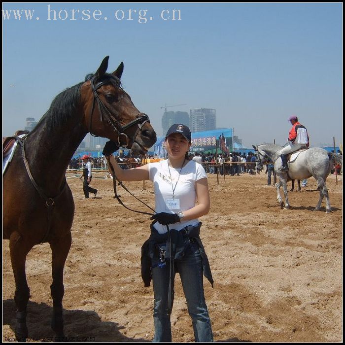 5.2日马术表演,哪个台先播呢>你猜啊!