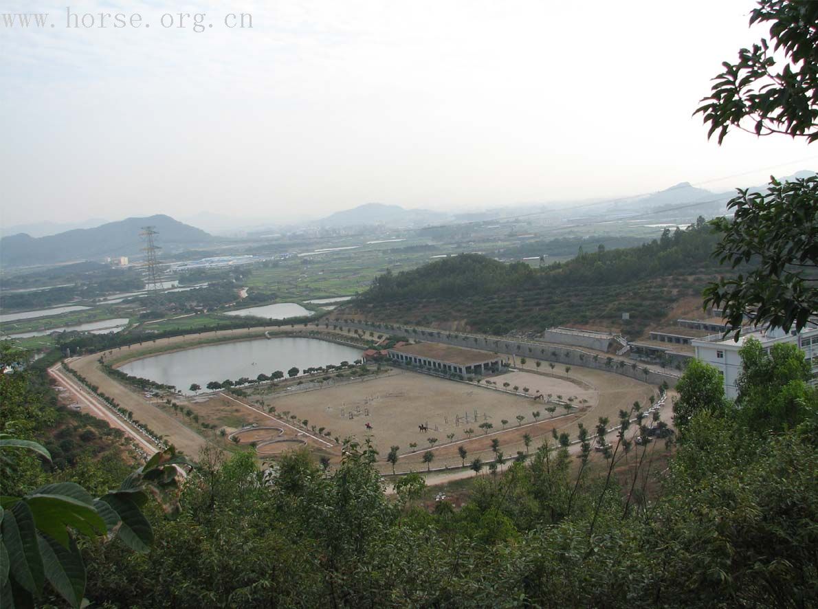 没有人知道深圳有几个很大的马场吗