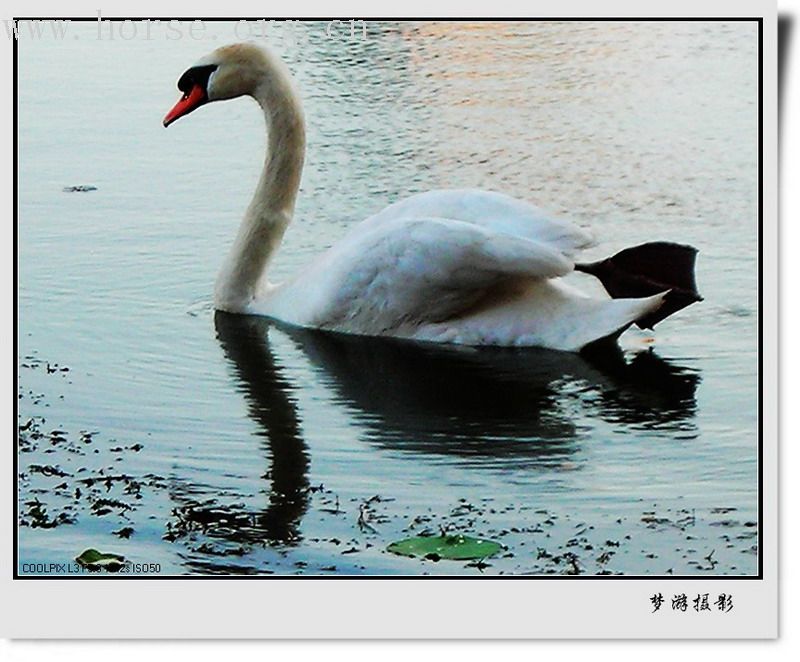 好久没来了，新人报道！