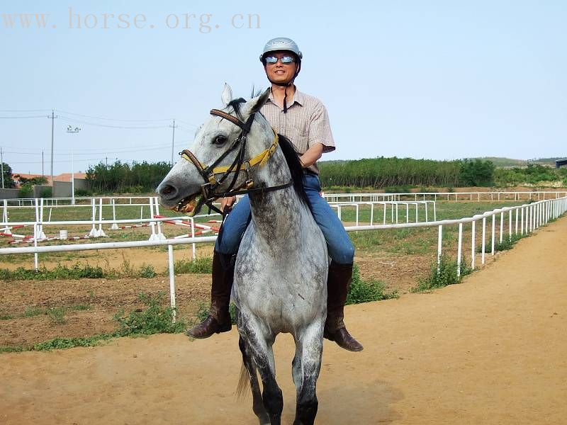 [贴图]漂亮好马骣骑个够