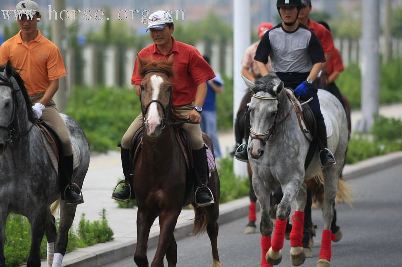 北京的骑马之行