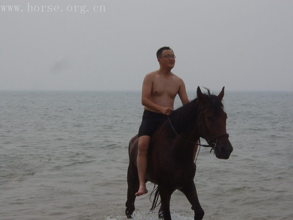 北京的骑马之行