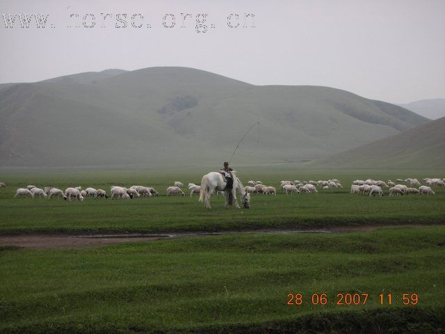 2007西乌旗草原文化节（那达慕）掠影