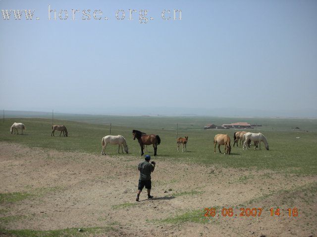 2007西乌旗草原文化节（那达慕）掠影