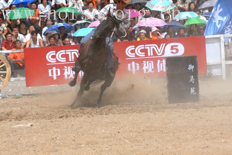 第二届太仆寺旗冠军赛的精彩演义