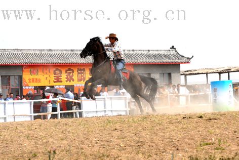 第二届太仆寺旗冠军赛的精彩演义