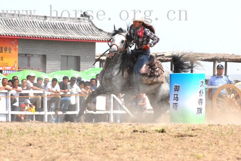 第二届太仆寺旗冠军赛的精彩演义