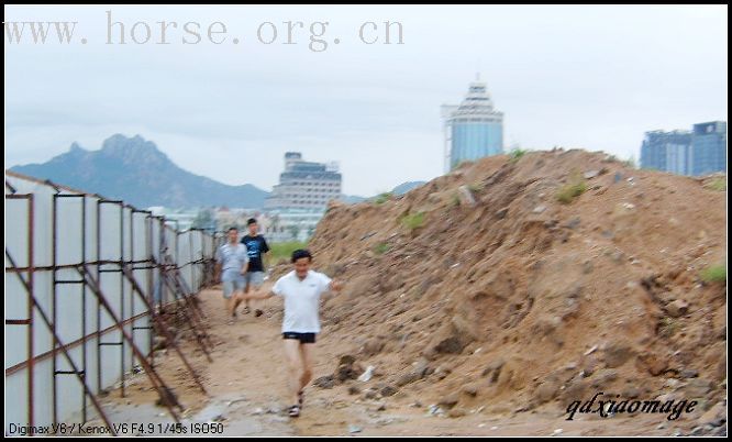 青岛凤凰山庄邀请马盟各位版主做客青岛,畅骑畅饮活动圆满成功!