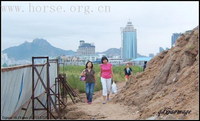 青岛凤凰山庄邀请马盟各位版主做客青岛,畅骑畅饮活动圆满成功!