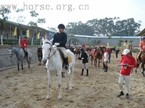 热烈祝贺深圳骑警挂牌成功