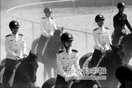 热烈祝贺深圳骑警挂牌成功