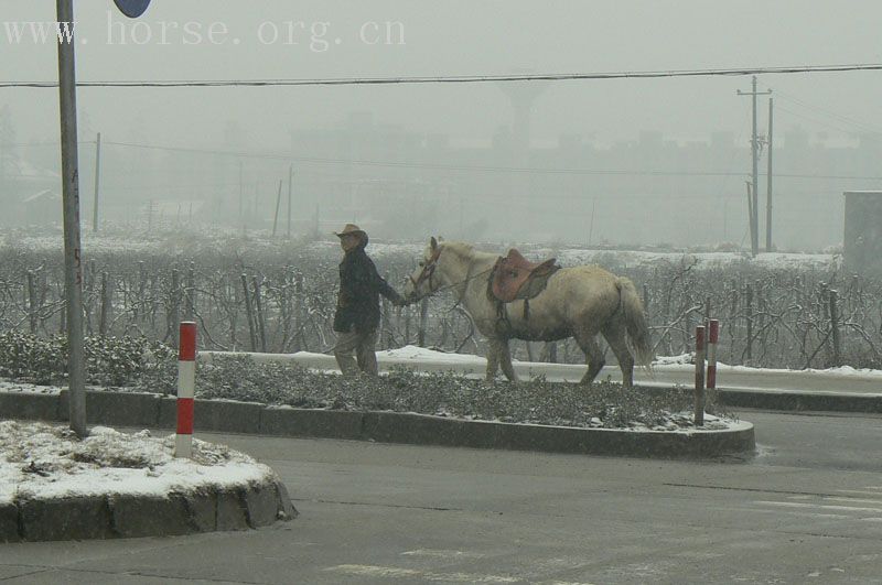 走马中国杭州站-送别篇，雪中离别老彭！