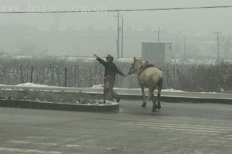 走马中国杭州站-送别篇，雪中离别老彭！