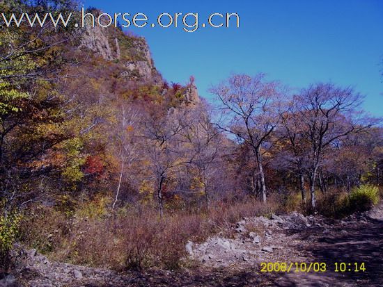 今年(2008)十一的坝上风景