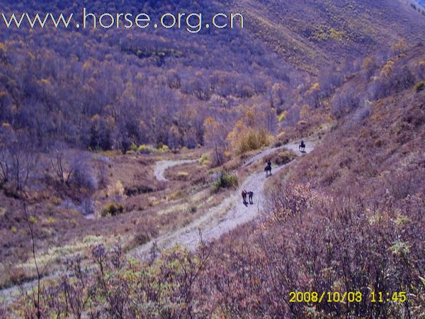 今年(2008)十一的坝上风景