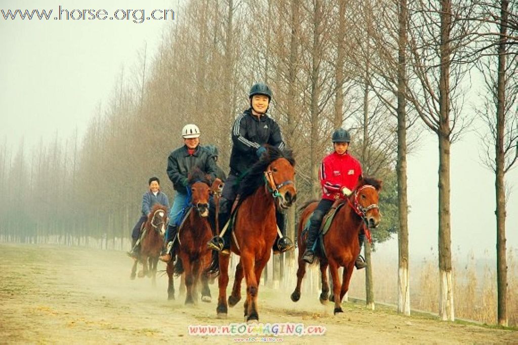 骑马（探路）环阳澄湖约150KM--非盈利活动