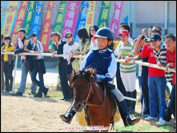 青岛登程马场高薪诚聘马术教练