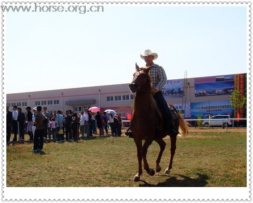 [贴图]2008年山东省马术邀请赛已圆满结束