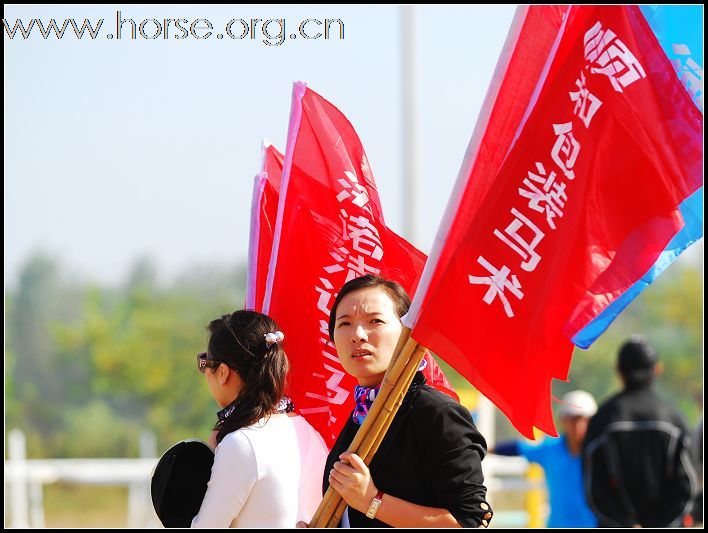 [贴图]2008年山东省马术邀请赛已圆满结束