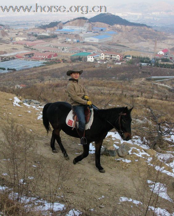 贺凤凰马术俱乐部-----2008场地障碍赛圆满成功!