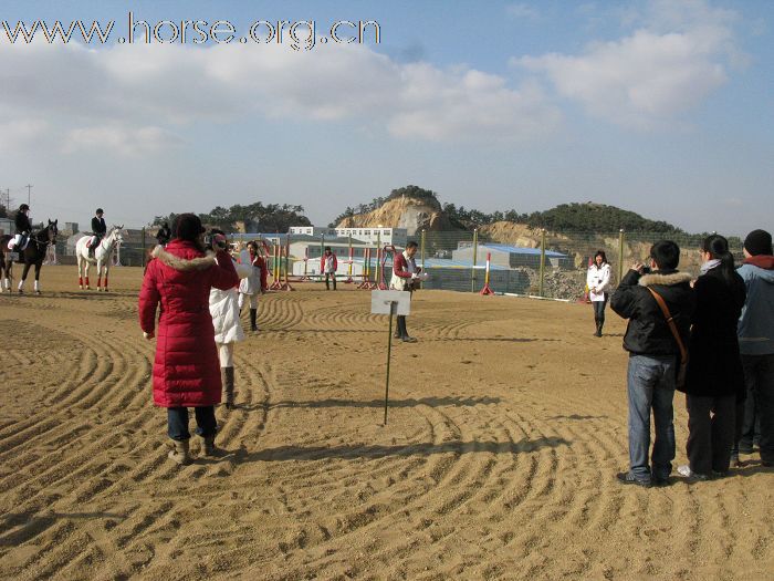 贺凤凰马术俱乐部-----2008场地障碍赛圆满成功!