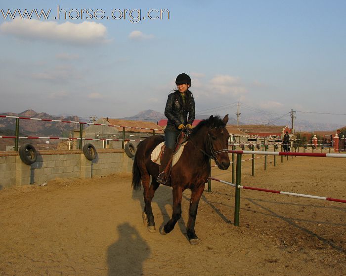 贺凤凰马术俱乐部-----2008场地障碍赛圆满成功!