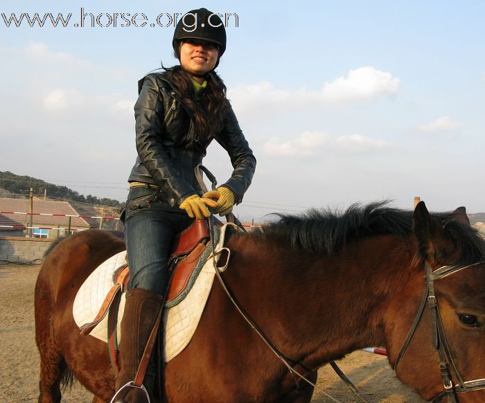 贺凤凰马术俱乐部-----2008场地障碍赛圆满成功!