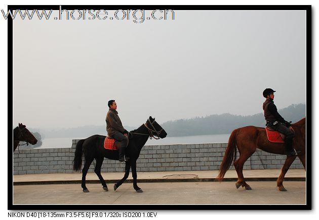 12.3马友崇洲白塔湖一日游