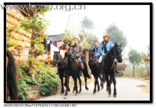 12.3马友崇洲白塔湖一日游