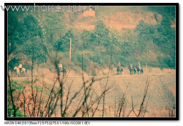 12.3马友崇洲白塔湖一日游