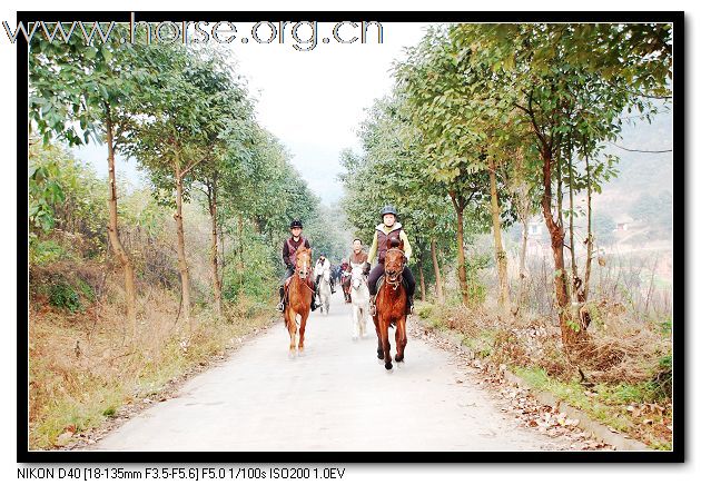 12.3马友崇洲白塔湖一日游