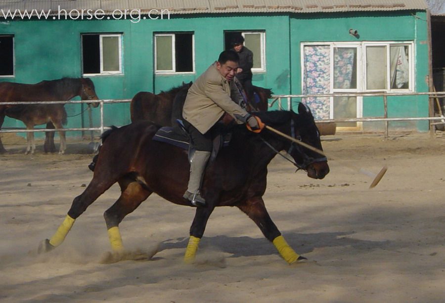 [贴图]2008德龙马球初体验