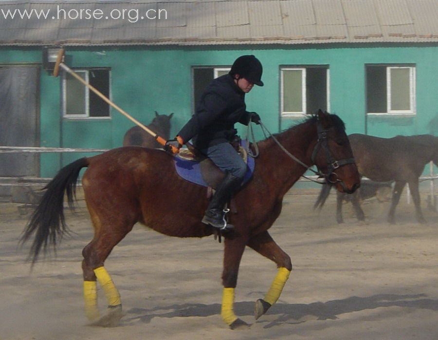 [贴图]2008德龙马球初体验