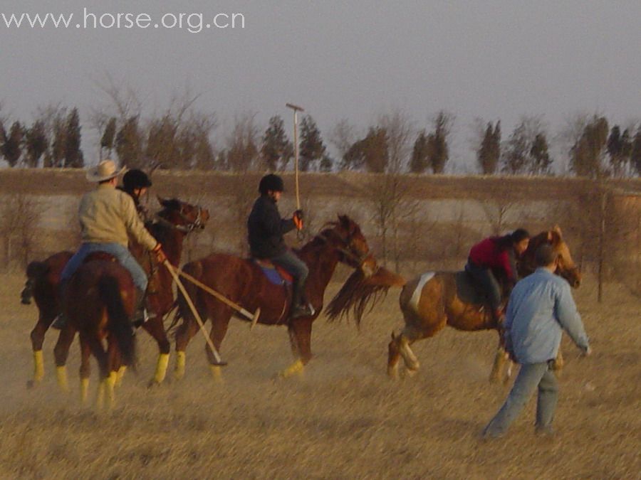 [贴图]2008德龙马球初体验