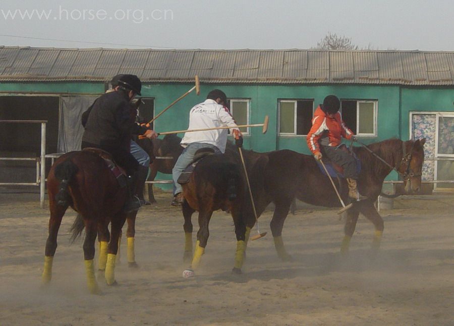 [贴图]2008德龙马球初体验