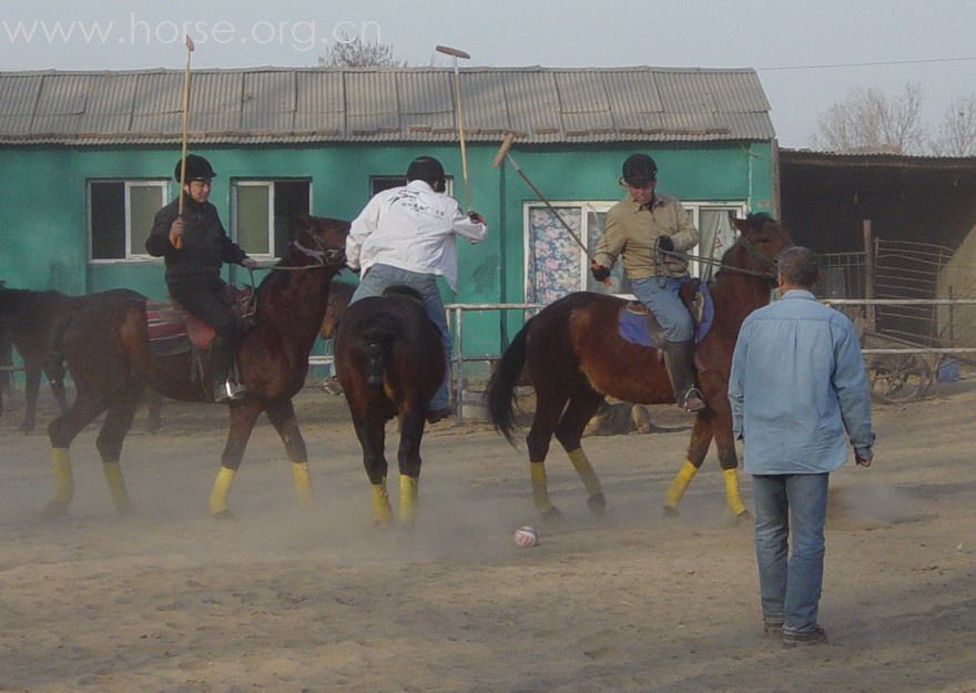 [贴图]2008德龙马球初体验