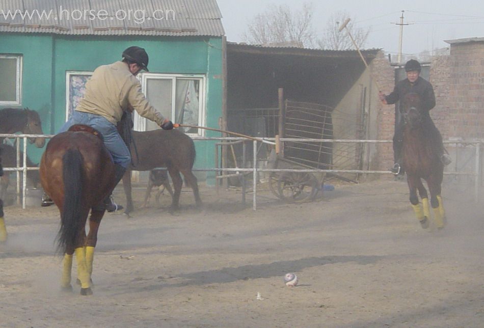 [贴图]2008德龙马球初体验