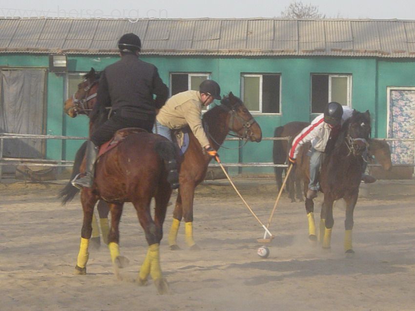 [贴图]2008德龙马球初体验