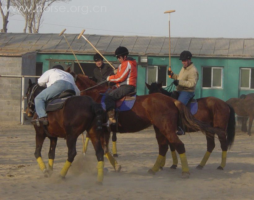 [贴图]2008德龙马球初体验