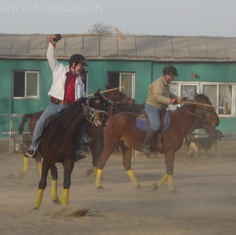 [贴图]2008德龙马球初体验