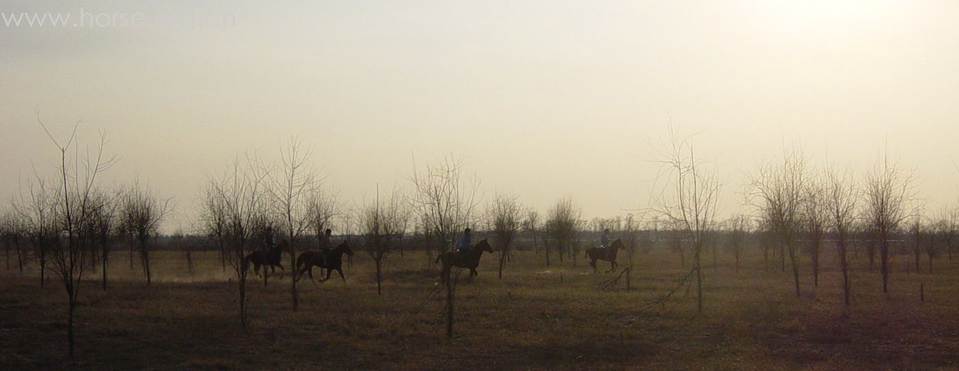 [贴图]2008德龙马球初体验